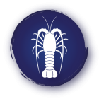 Crustacean welfare & harvest